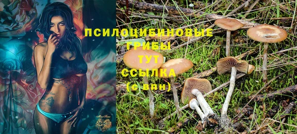 прущая мука Абинск