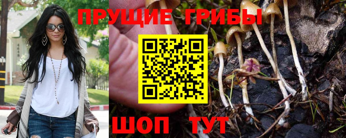 Галлюциногенные грибы мухоморы Конаково