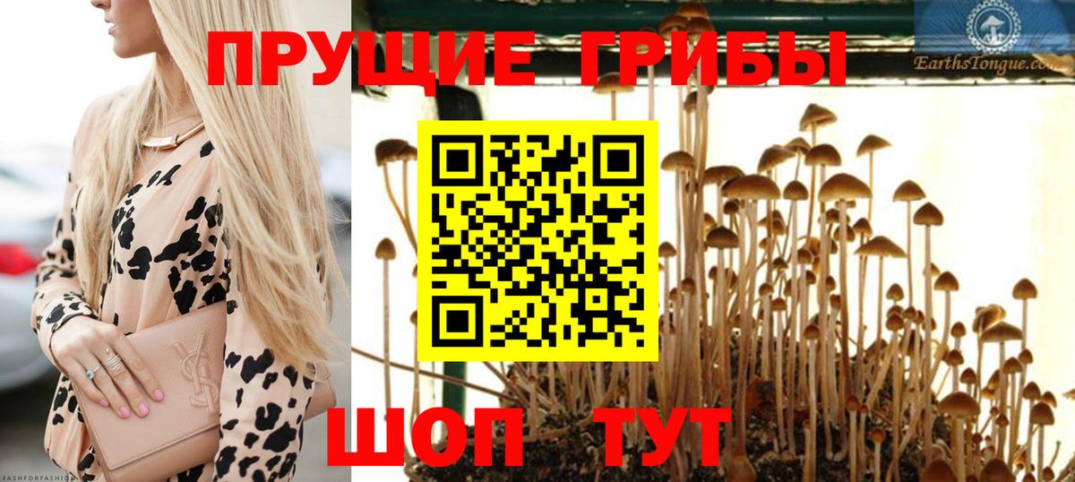 Кодеин  Конаково  Alpha PVP СК кристаллы  Мефедрон   Вход с VPN  МАРИХУАНА  Амфетамин кристаллы  ГАШ 